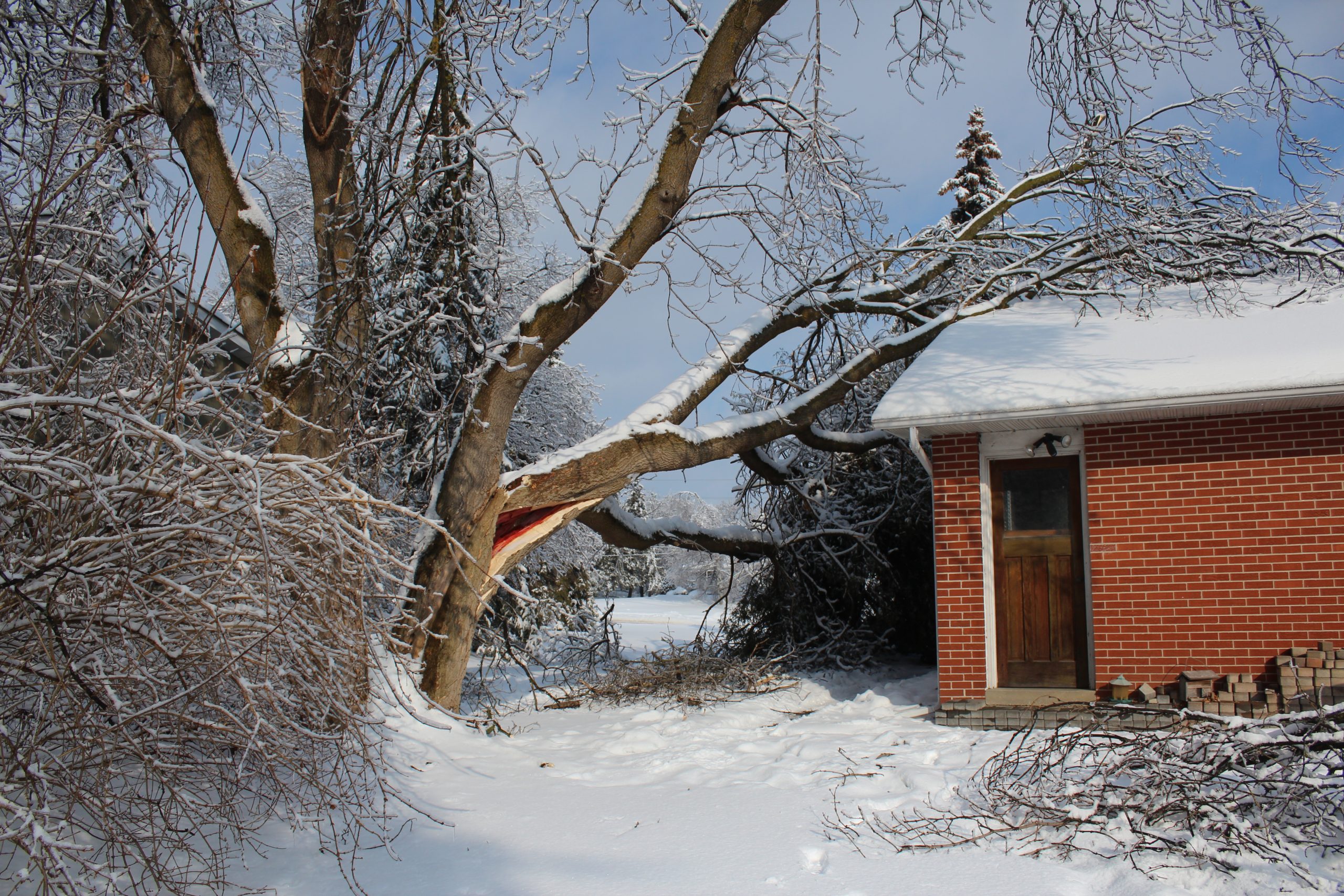 arbre tombé sur la toiture d'une maison après une tempête