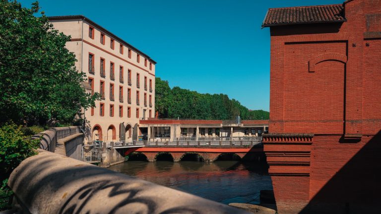 Le Muséum de Toulouse fermé : quelles options pour vos sorties culturelles ?