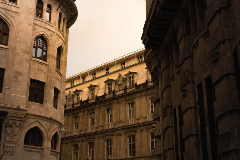 Le Palais Niel : un patrimoine toulousain en danger, comment pouvez-vous aider ?