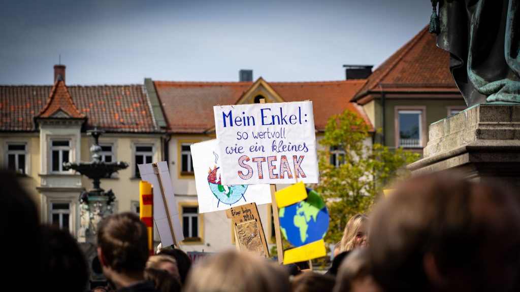 Marche pour le climat ce 26 septembre : pourquoi Toulouse doit se mobiliser