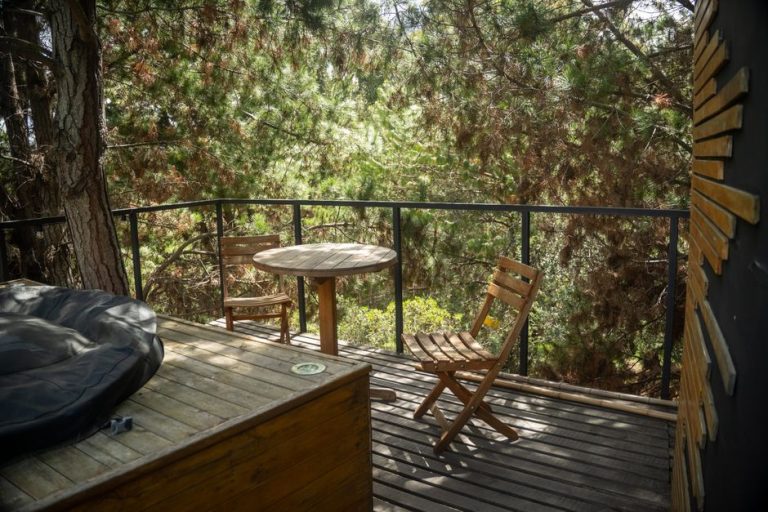 Terrasse bois : prix au m² et durée de vie par essence