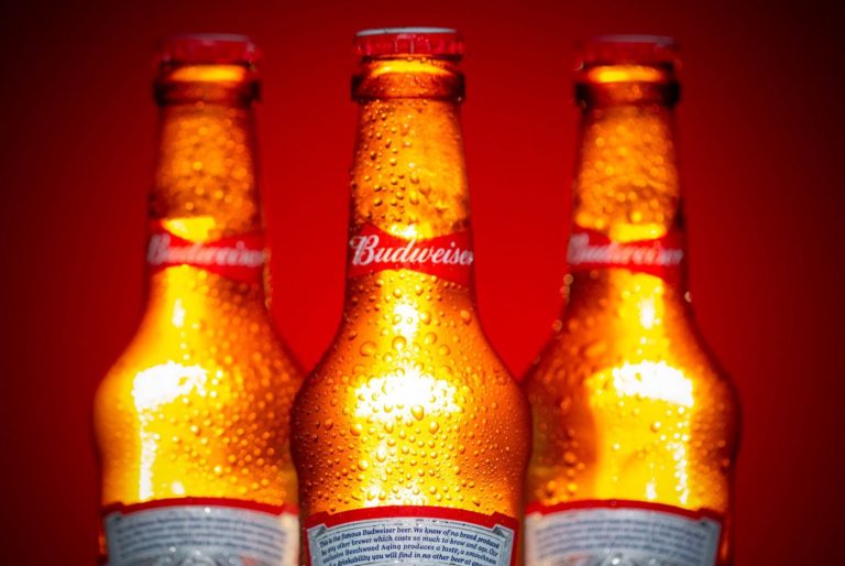 Heineken ou Budweiser : quelle lager choisir ?