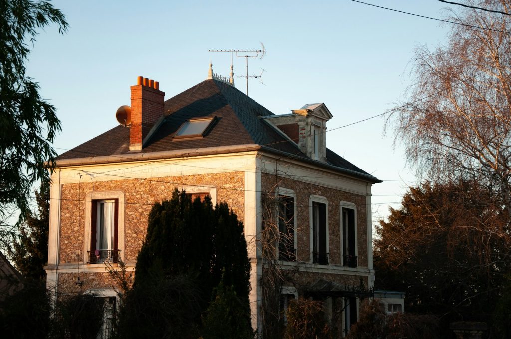 Charançon noir du figuier : Comment protéger vos vergers près de Toulouse ?