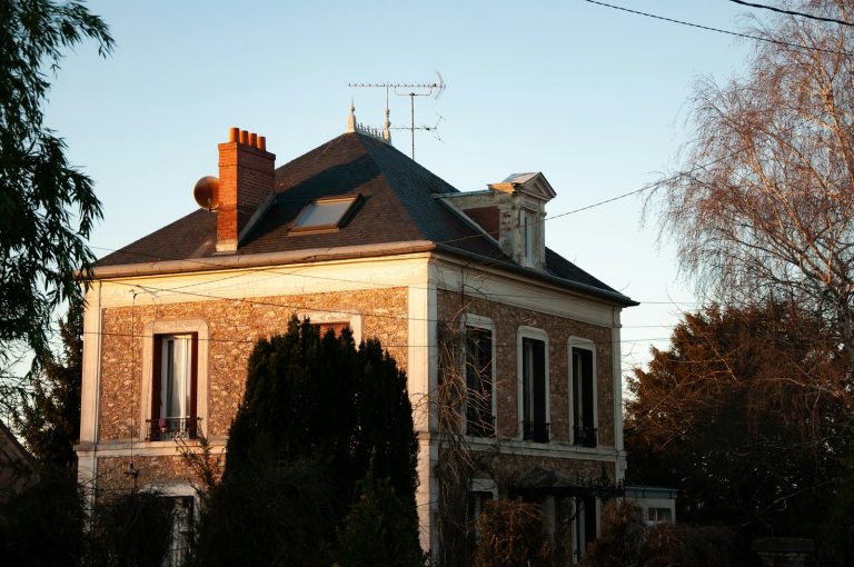 Charançon noir du figuier : Comment protéger vos vergers près de Toulouse ?