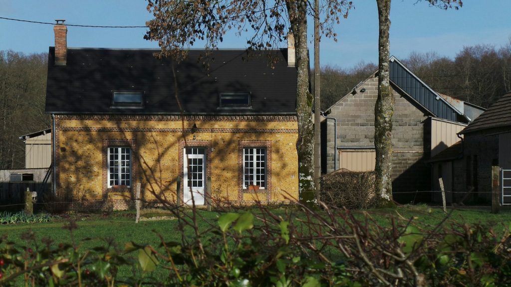 Charançon noir du figuier : Comment protéger vos vergers près de Toulouse ?