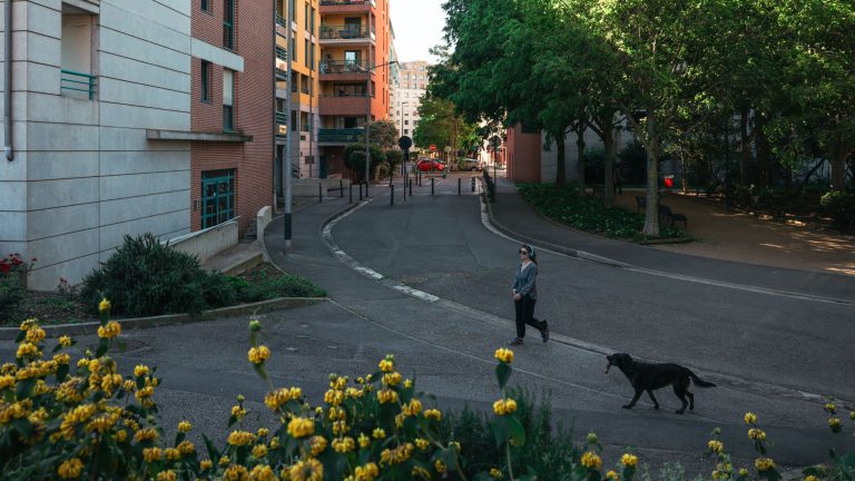 Investir à Lafourguette : Le quartier toulousain qui cache des trésors immobiliers