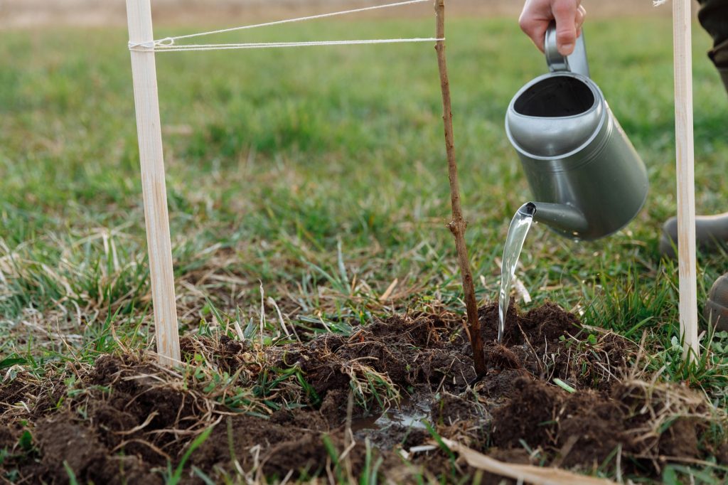Pluie ou pas, les restrictions d'eau à Toulouse restent d'actualité !