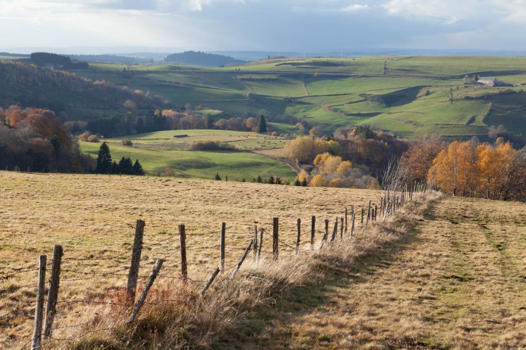 Restaurez les paysages de Toulouse : votre rôle face à l'érosion des haies champêtres