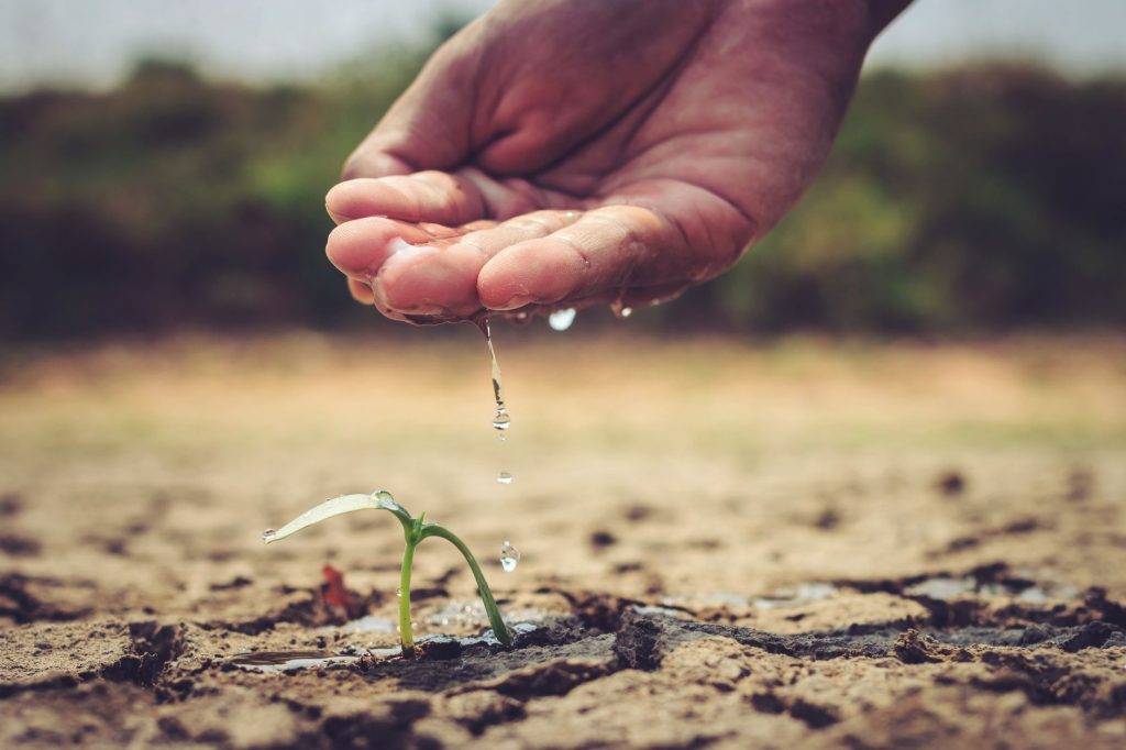 Sécheresse dans le Tarn-et-Garonne : Comment préserver votre consommation d'eau ?