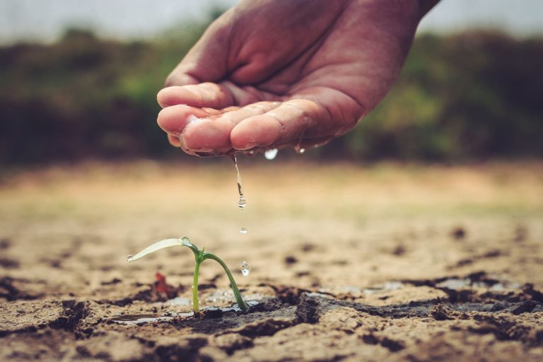 Sécheresse dans le Tarn-et-Garonne : Comment préserver votre consommation d&rsquo;eau ?